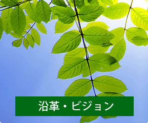 トスビークリエイションの沿革・ビジョン